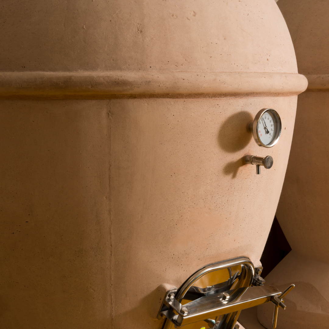 Visita a cantina boutique biologica e degustazione di 6 vini vicino a Urbino