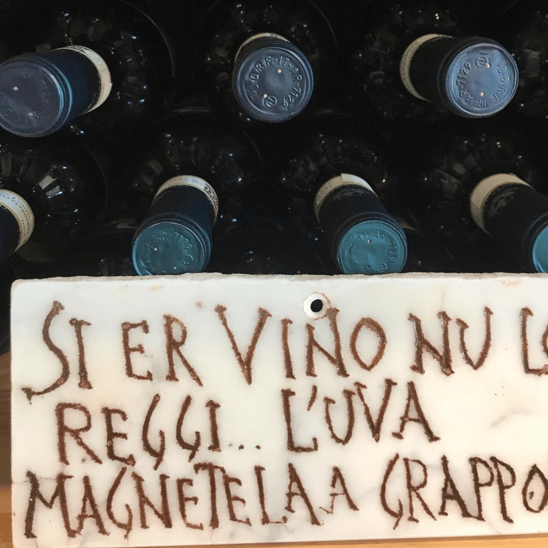 Boutique Winery Visit & Wine Tasting near Arezzo