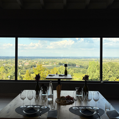 Weinbergbesuch auf den Parma-Hügeln & Weinprobe mit Speisenplatte