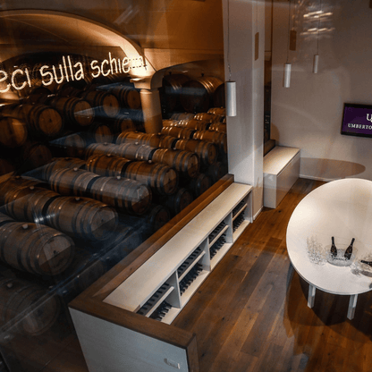 Wine Tasting with Food Pairing near Bologna