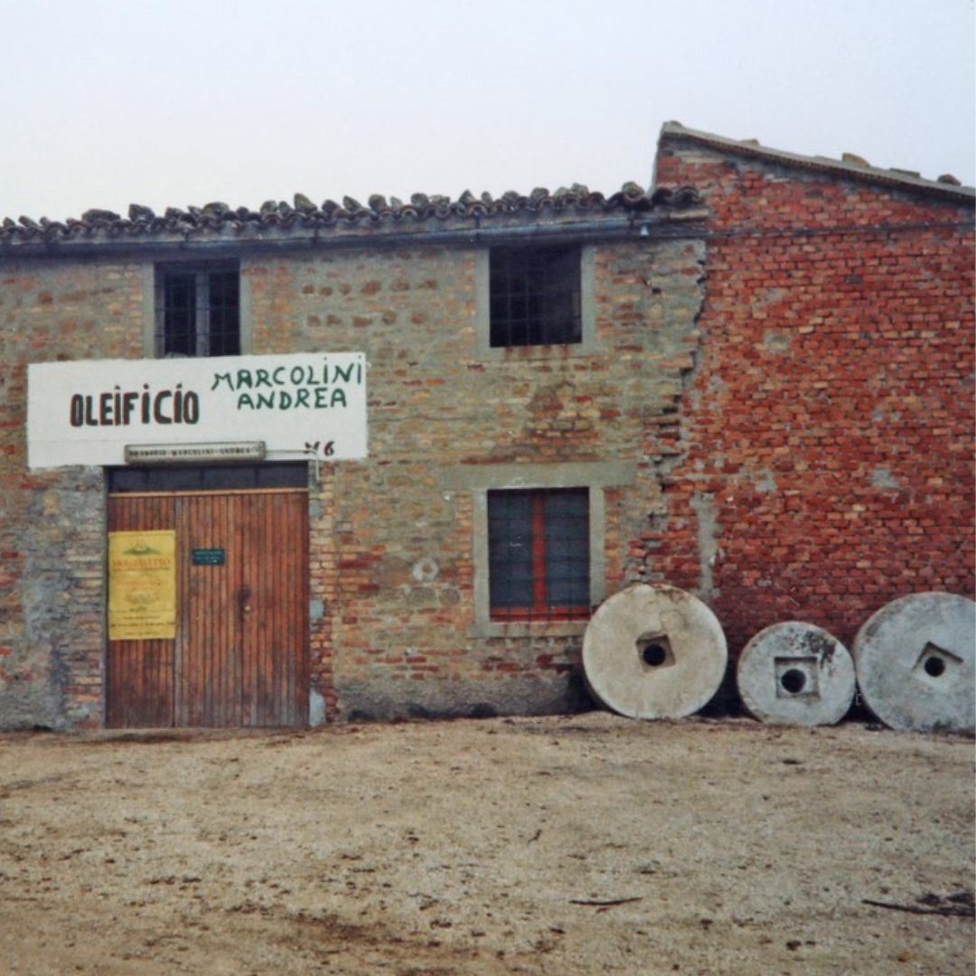 Olive Mill Tour & Guided Tasting near Pesaro 1 Pesaro