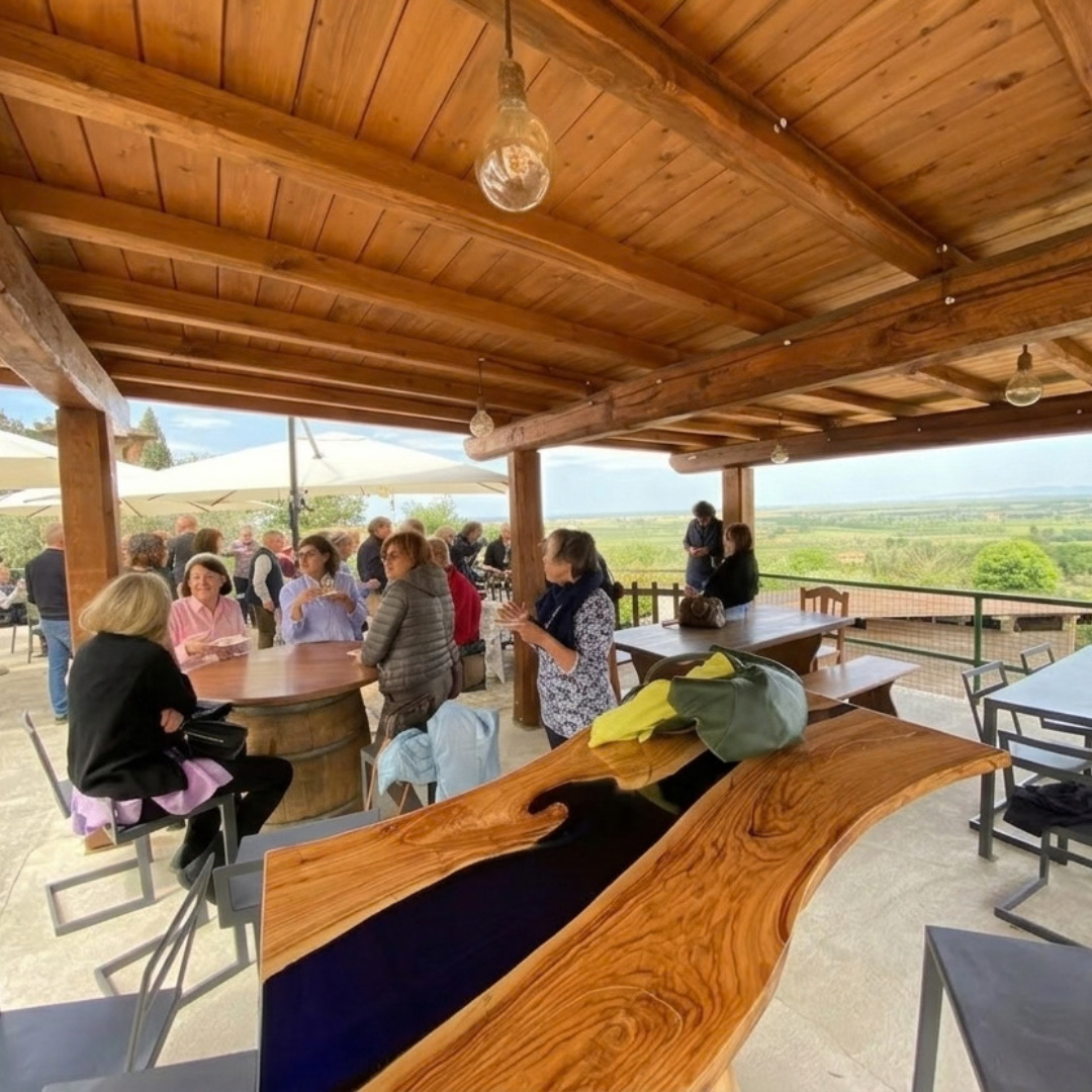 Olive Oil Mill Tour with Tasting & Wine near Volterra - Livorno