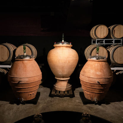 Chianti Winery Tour with VR & Blind Tasting near Florence