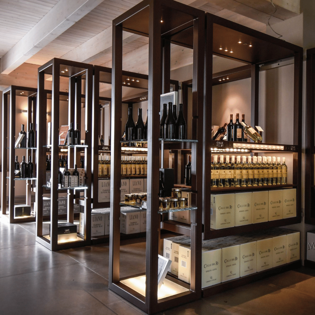 Wine Tasting with Food Pairing near Bologna