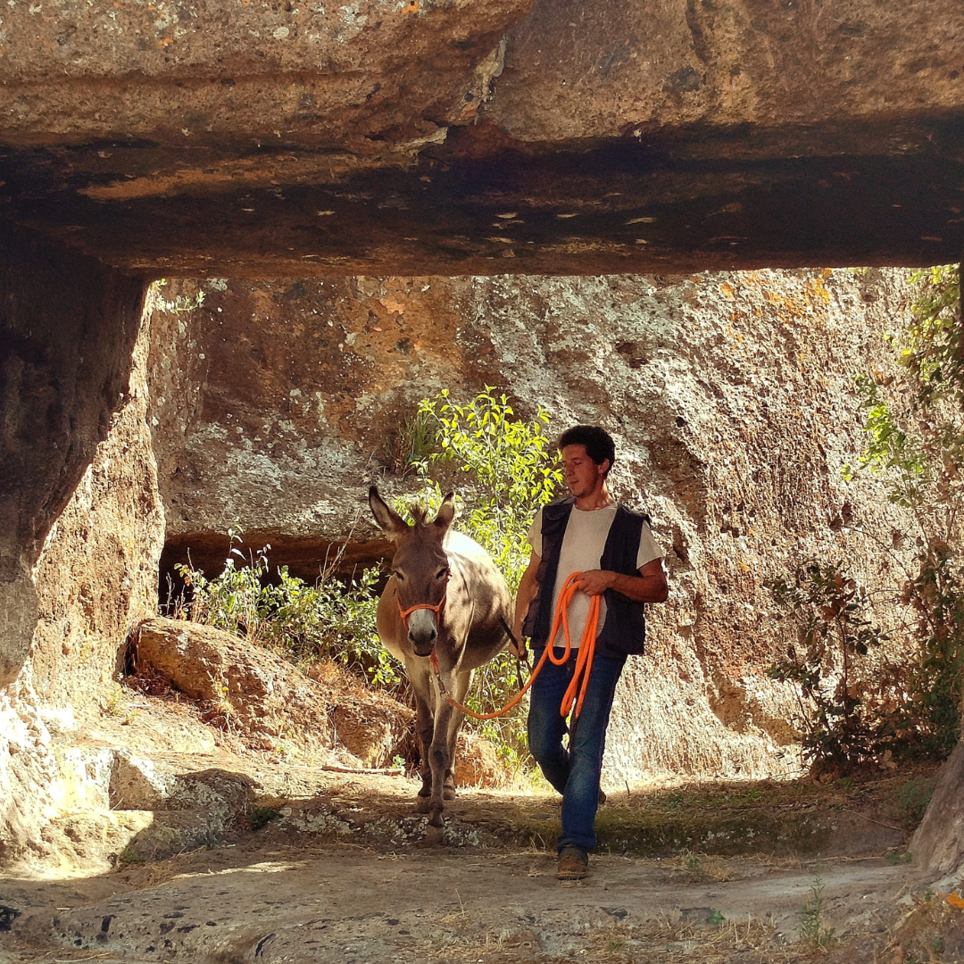 Passeggia con gli asini e visita le Grotte Porcine presso Viterbo
