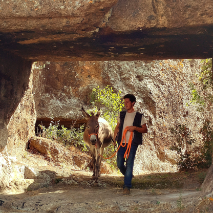 Passeggia con gli asini e visita le Grotte Porcine presso Viterbo