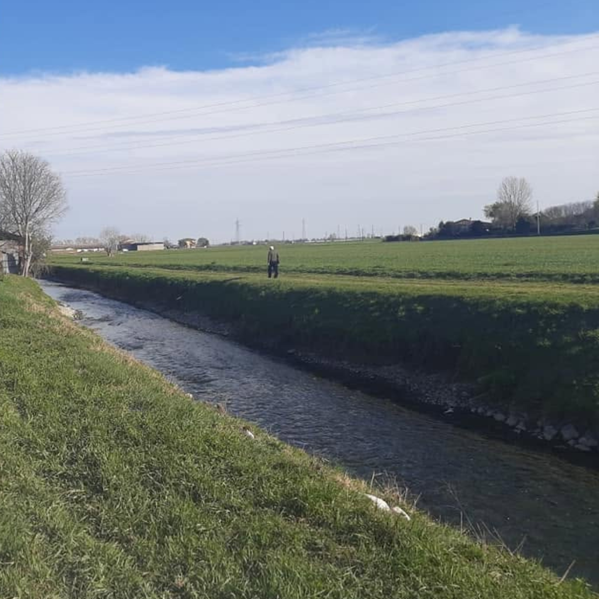 Discover Farm Life Near Verona with a Local Farmer 6 Verona