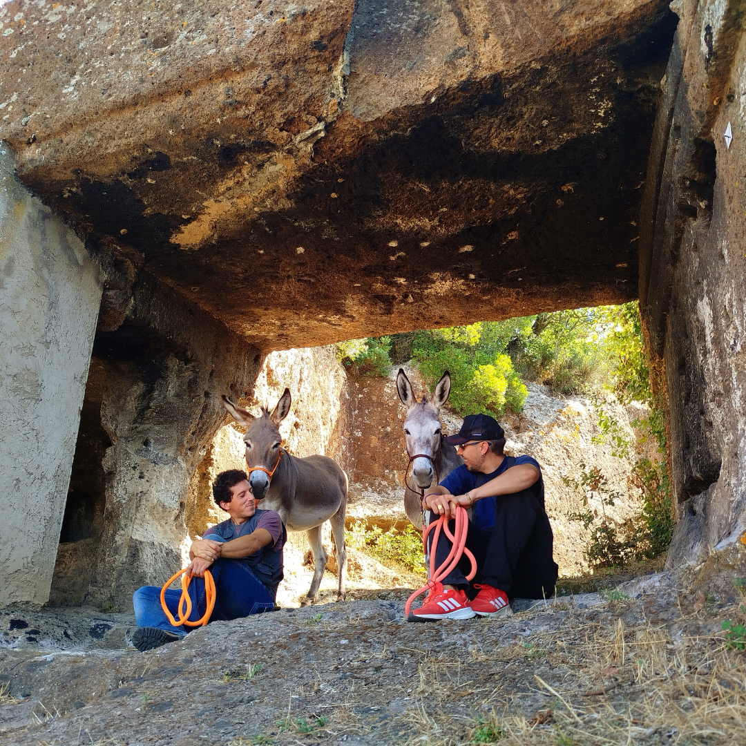 Passeggia con gli asini e visita le Grotte Porcine presso Viterbo