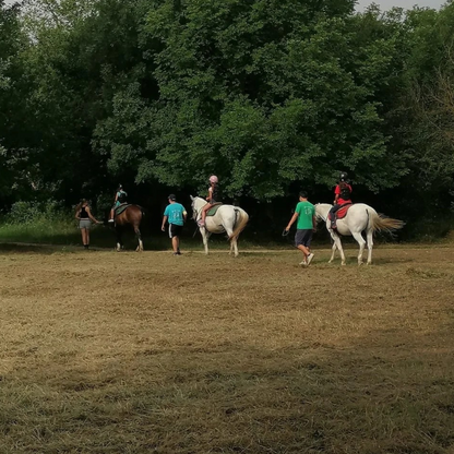 Horseback Riding near Verona along the River