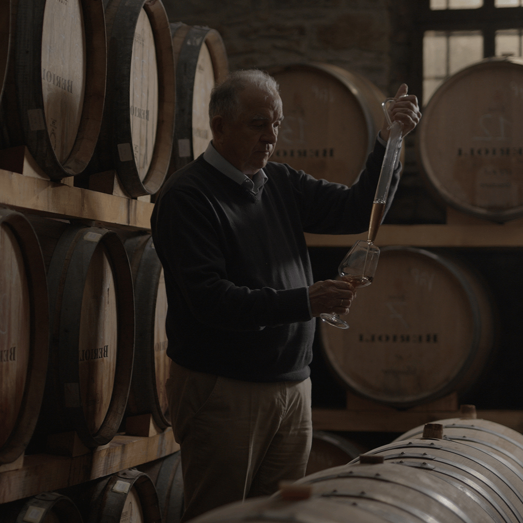Winery Tour & Tasting near Lake Trasimeno & Perugia