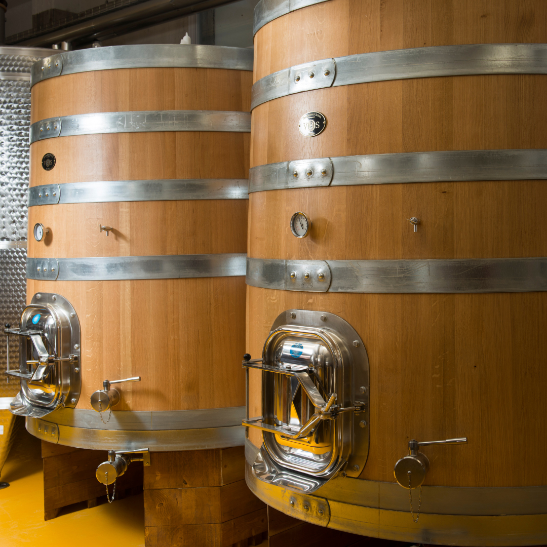 Visita a cantina boutique biologica e degustazione di 6 vini vicino a Urbino
