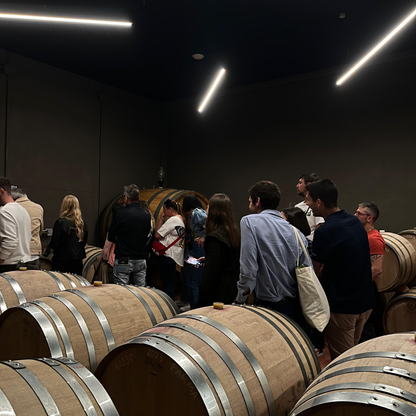 Weinbergbesuch auf den Parma-Hügeln & Weinprobe mit Speisenplatte