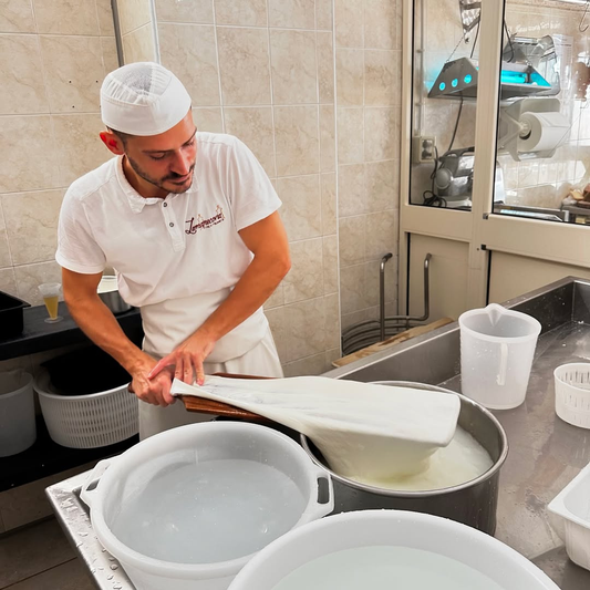Mozzarella Making Show and Dairy Farm visit in Fasano, Brindisi 4 Brindisi