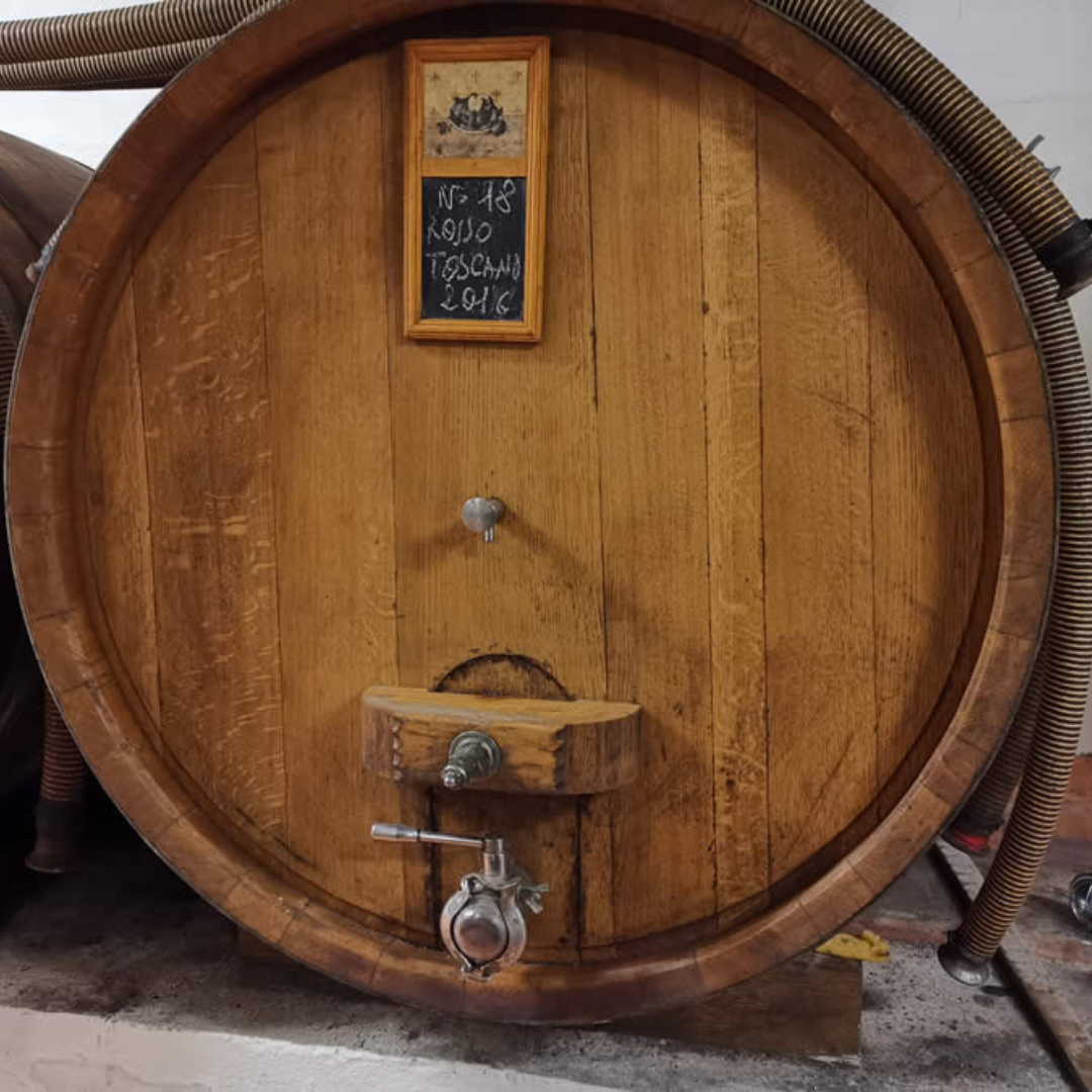 Winery & Vineyard Tour with Guided Tasting near Pisa 6 Pisa