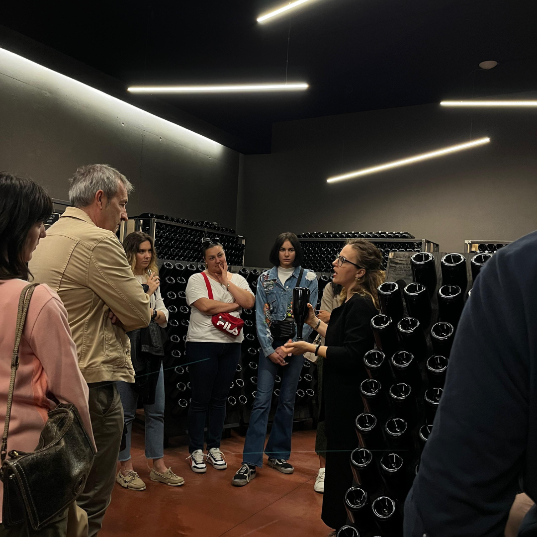 Weinbergbesuch auf den Parma-Hügeln & Weinprobe mit Speisenplatte