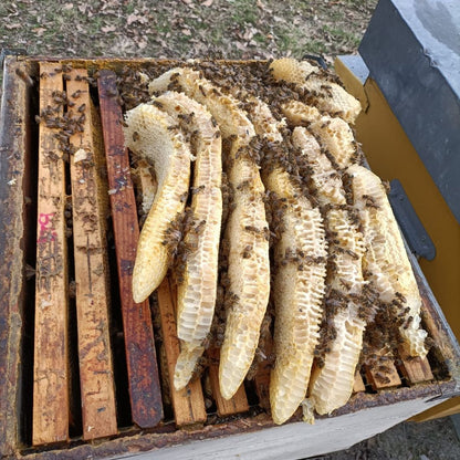 Esperienza di Degustazione di Miele e Idromele nel Monferrato