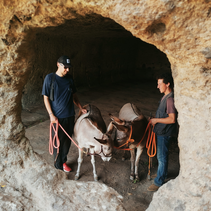 Passeggia con gli asini e visita le Grotte Porcine presso Viterbo
