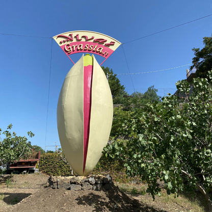 Pistachio Grove Tour with Tastings in Bronte near Etna 2 Catania