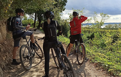 E-Bike Tour and Wine Tasting from Bardolino