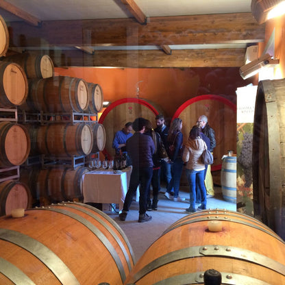 Organic Wine Tasting and Vineyard Tour near Empoli and Pisa