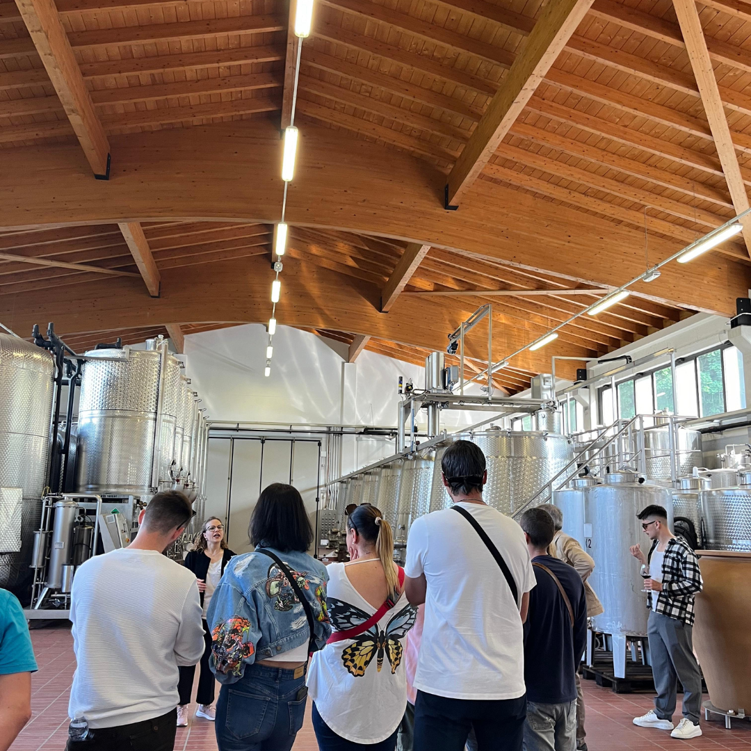 Weinbergbesuch auf den Parma-Hügeln & Weinprobe mit Speisenplatte