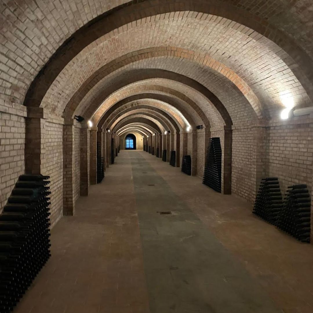 Abbey Tour, Wine Tasting and Light Lunch near Pisa