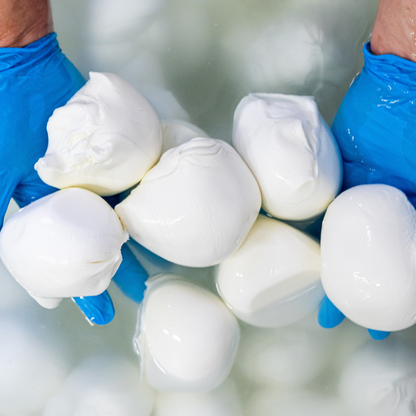 Mozzarella Making Show & Farm Tour in Putignano 5 Bari