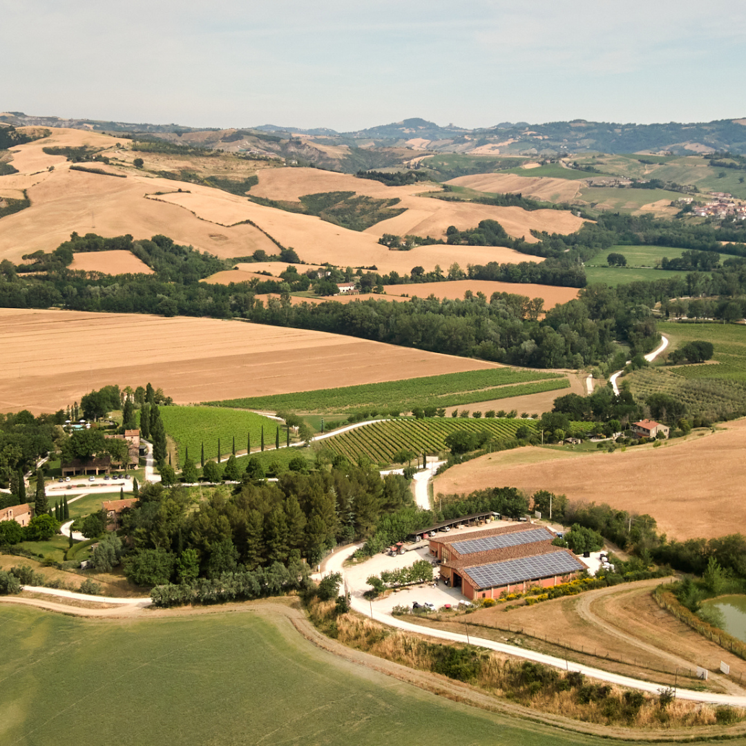 Visita a cantina boutique biologica e degustazione di 6 vini vicino a Urbino