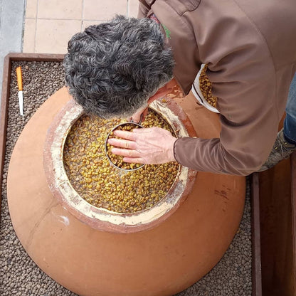 Winery Tour with Wine & Food Tasting near Riccione & Rimini