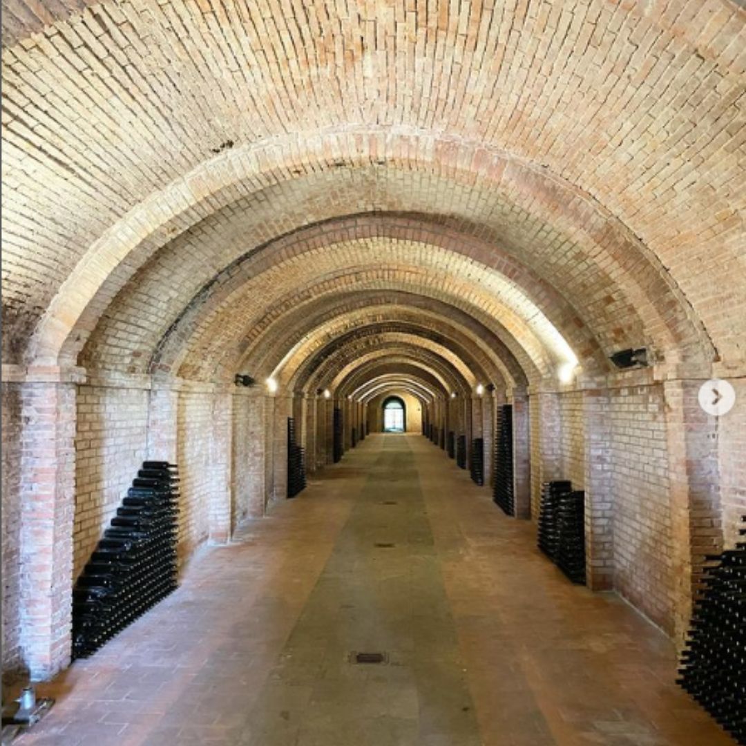 Abbey Tour, Wine Tasting and Light Lunch near Pisa