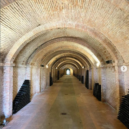 Abbey Tour, Wine Tasting and Light Lunch near Pisa