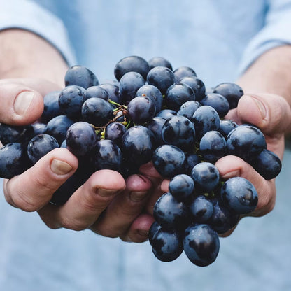 Winery Tour with Organic Wine Tasting & Lunch near Pompeii