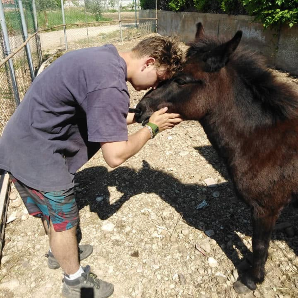 Discover Farm Life Near Verona with a Local Farmer - Verona