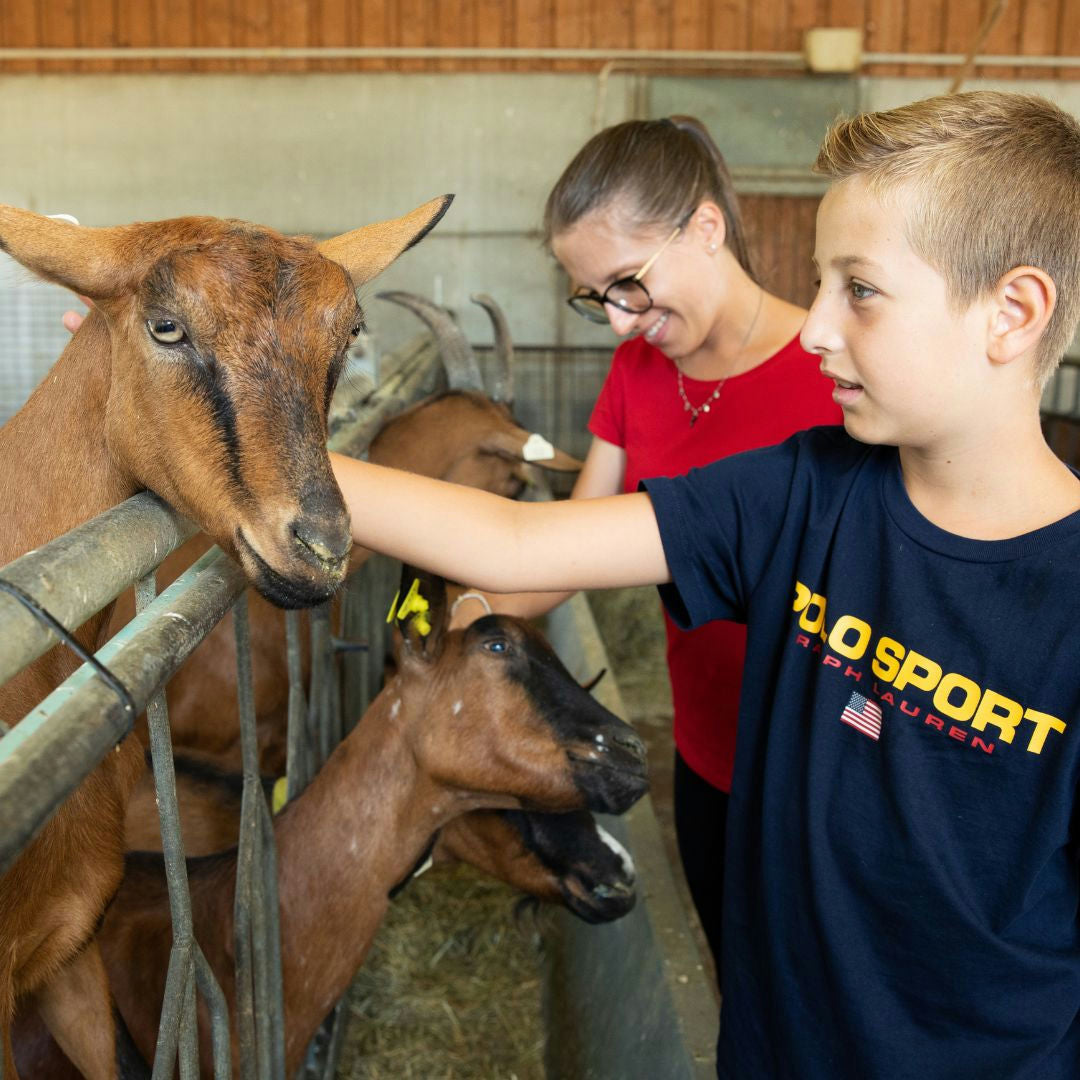 Farm Tour with Cheese Making Workshop near Lake Como 5 Como