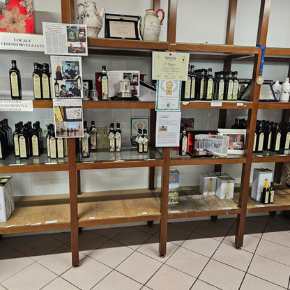 Olive Oil Tasting with Optional Olive Grove Walk near Rimini 8 Rimini