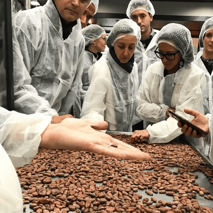 Tour e degustazione in una fabbrica di cioccolato vicino ad Alessandria