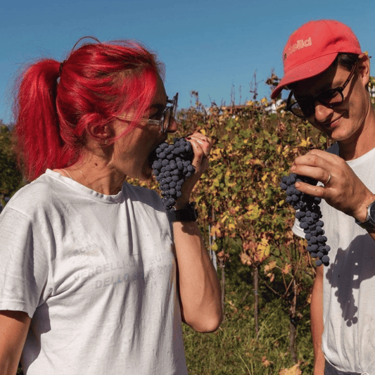 Degustazione di vini e visita in cantina vicino ad Asti e Torino