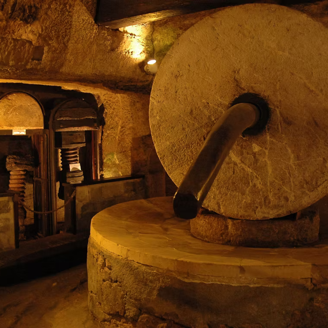 Underground Olive Mill Tour in Gallipoli with Food Tastings 1 Lecce