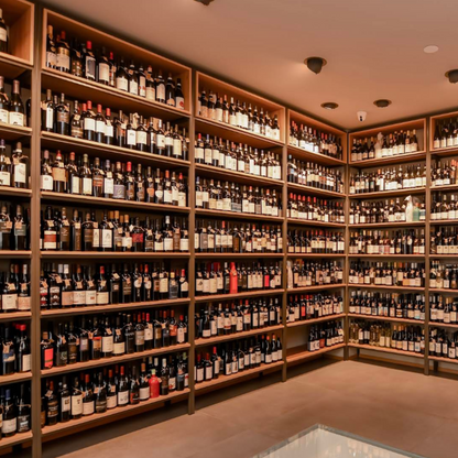 Wine Tasting with Food Pairings in Bari City Center
