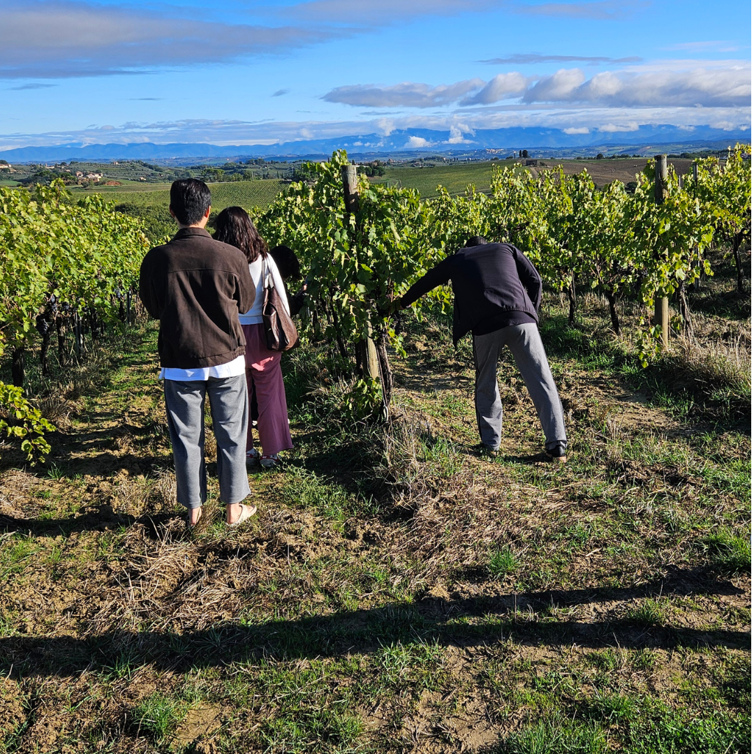 Winery Tour with Wine & Food Tasting in Montepulciano 1 Siena