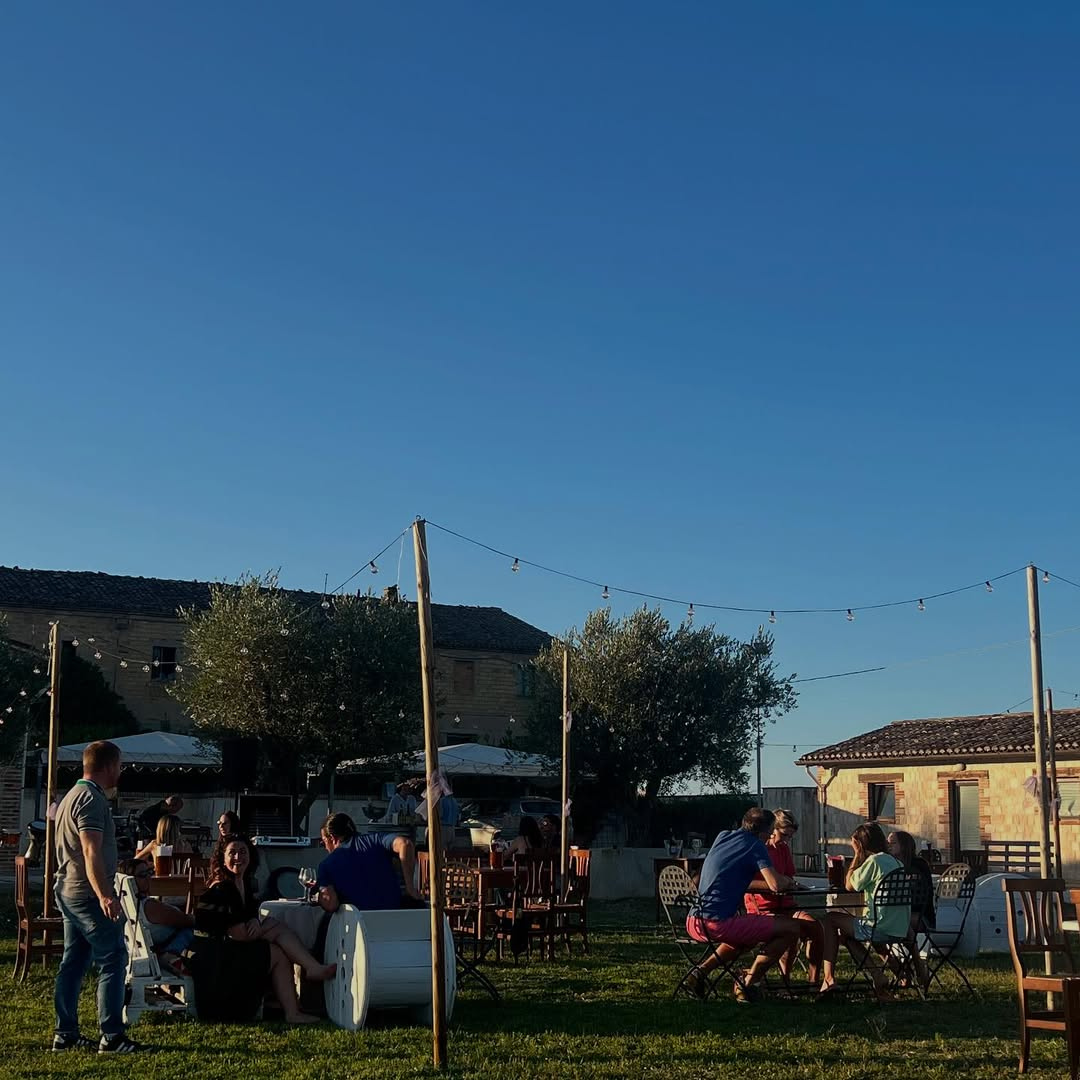 Gourmet Winery Tour with Wine & Food Tasting near Ancona 6 Ancona