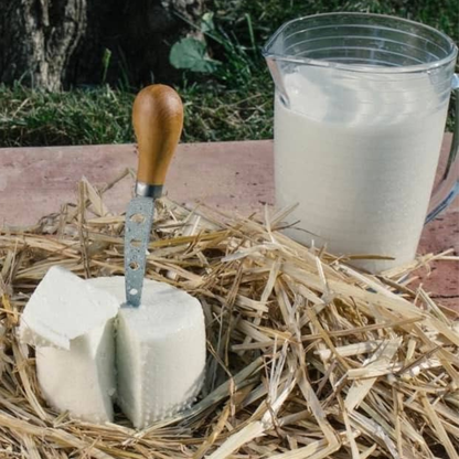 Paestum: Goat Farm Cheesemaking Tour & Tasting 5 Salerno