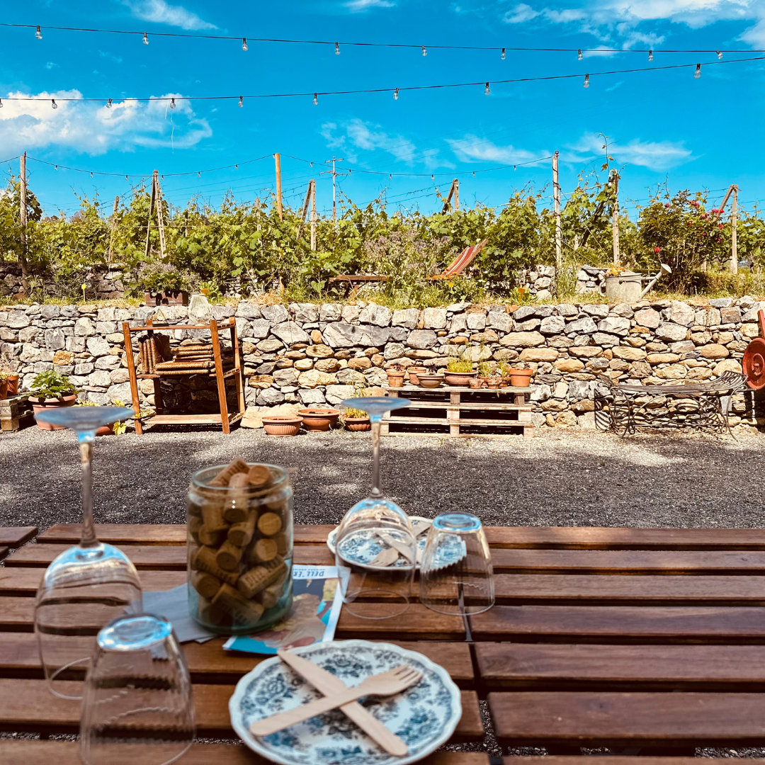 Winery & Vineyard Tour with Wine Tasting & Food in Albenga 2 Savona 