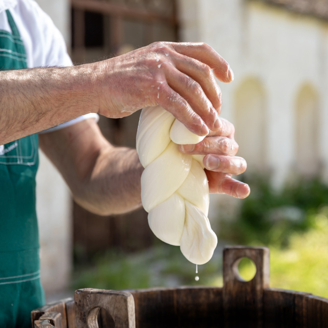 Mozzarella Making Show & Farm Tour in Putignano 6 Bari