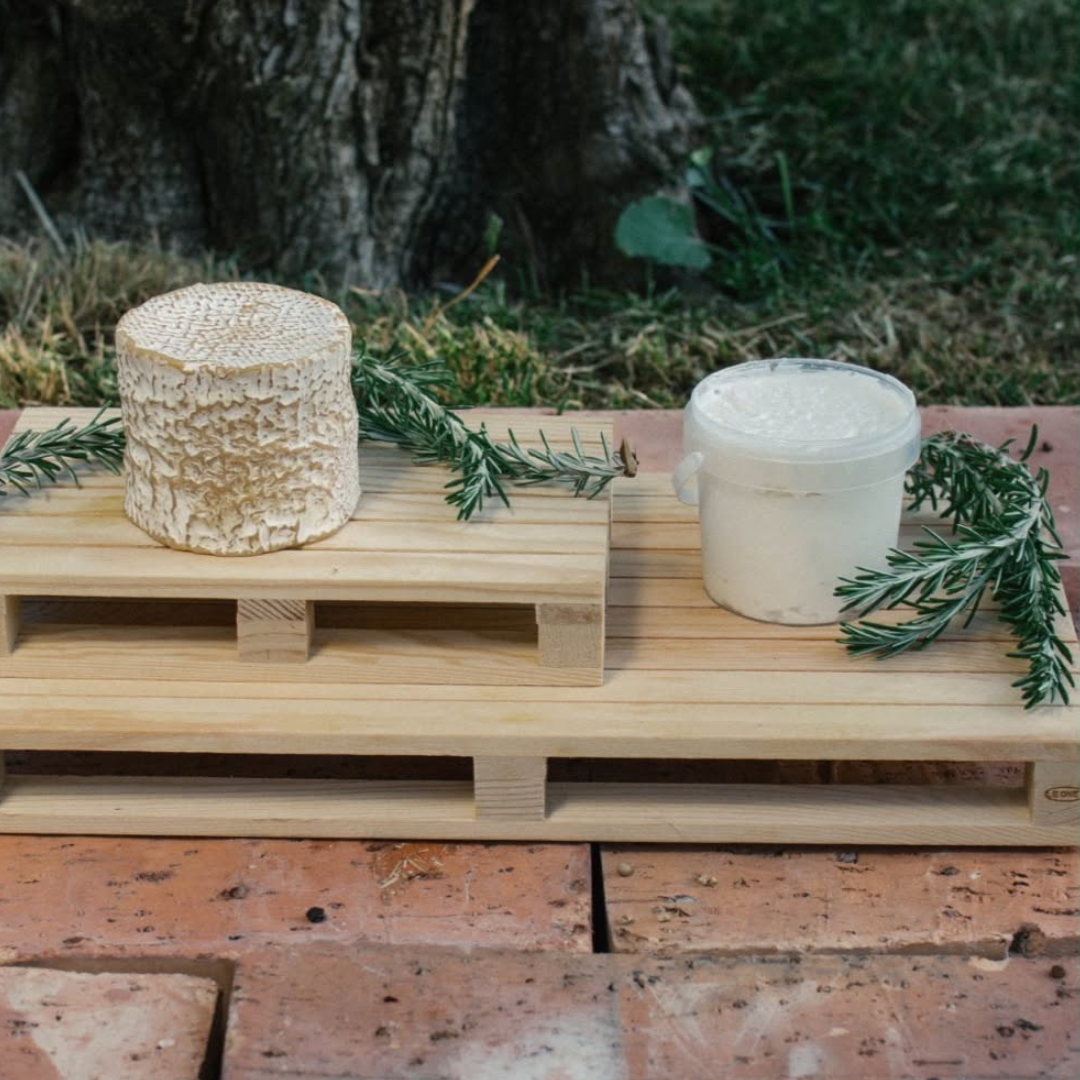 Paestum: Goat Farm Cheesemaking Tour & Tasting 3 Salerno