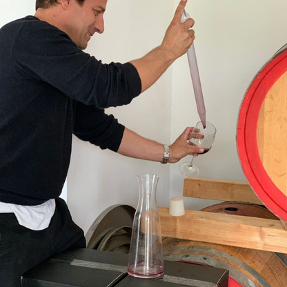 Boutique Winery Tour with Wine & Food Tasting near Cagliari