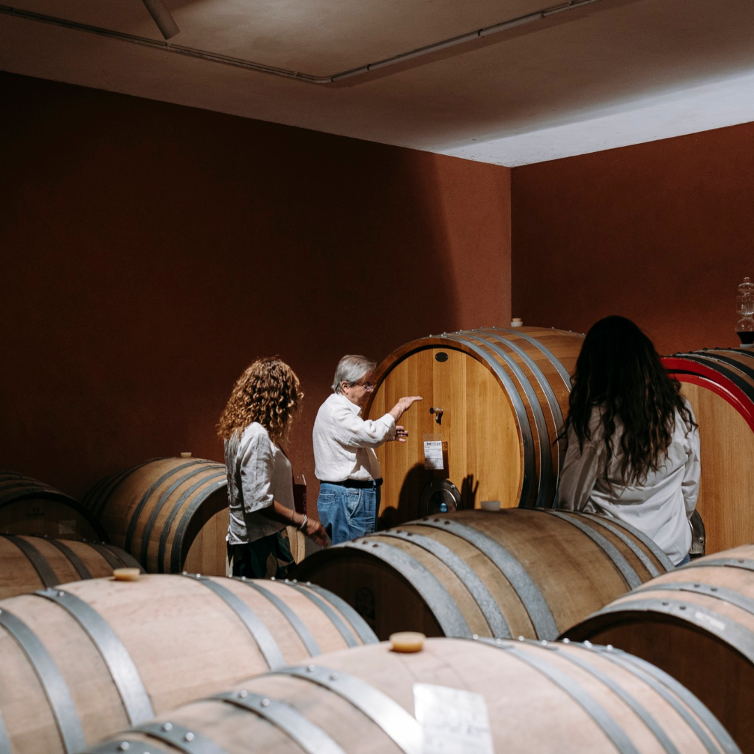Visita alla Cantina e Degustazione sulle Pendici Vulcaniche vicino a Catania