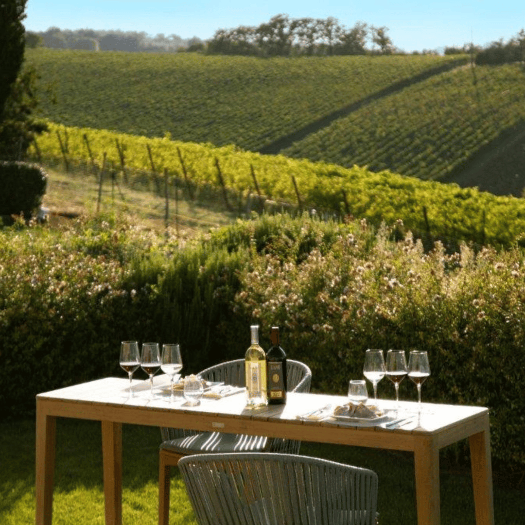 Wine Tasting with Food Pairing near Bologna