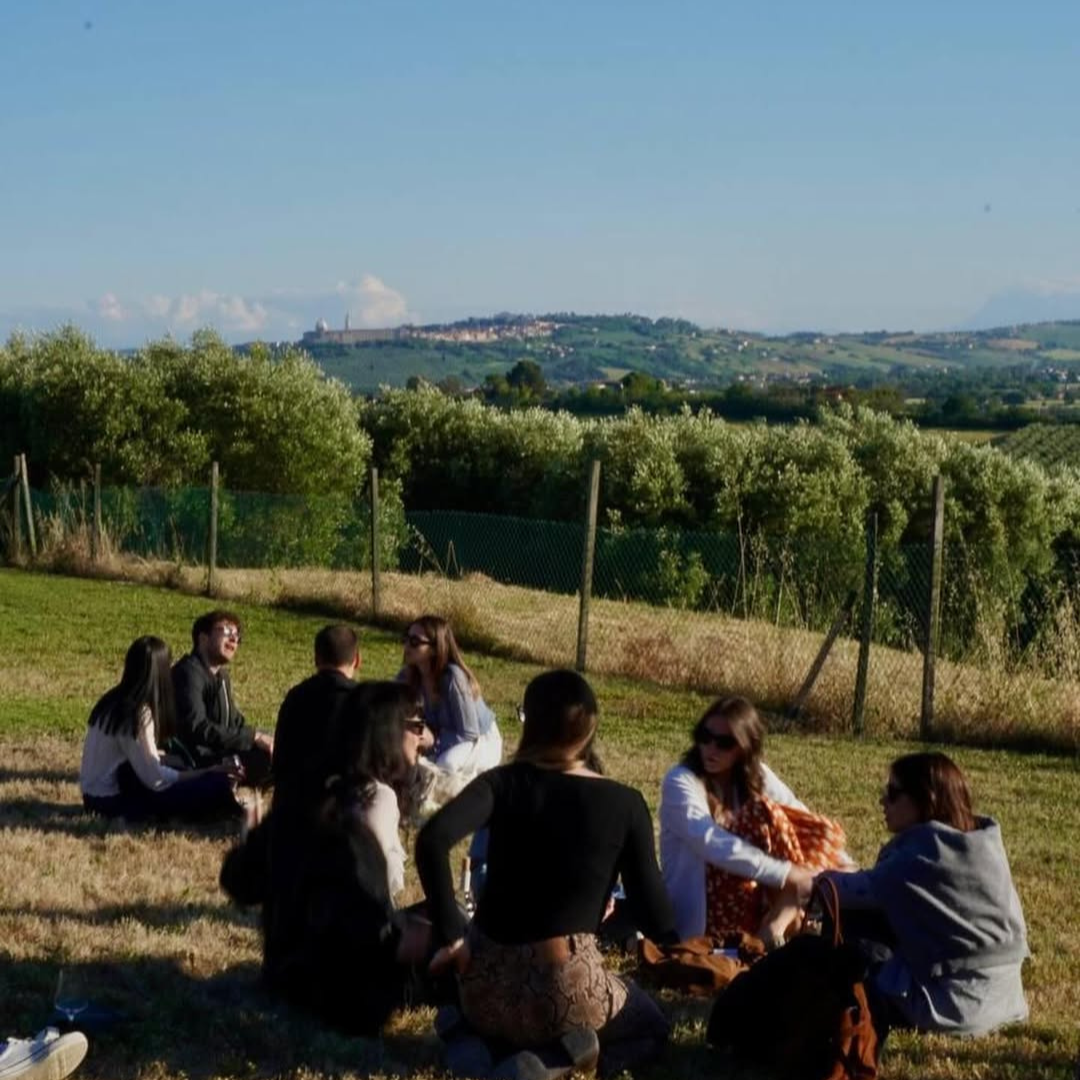 Gourmet Winery Tour with Wine & Food Tasting near Ancona 8 Ancona