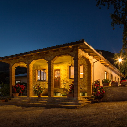 Organic Wine Tasting, Local Food & Vineyard Walk near Assisi 4 Perugia